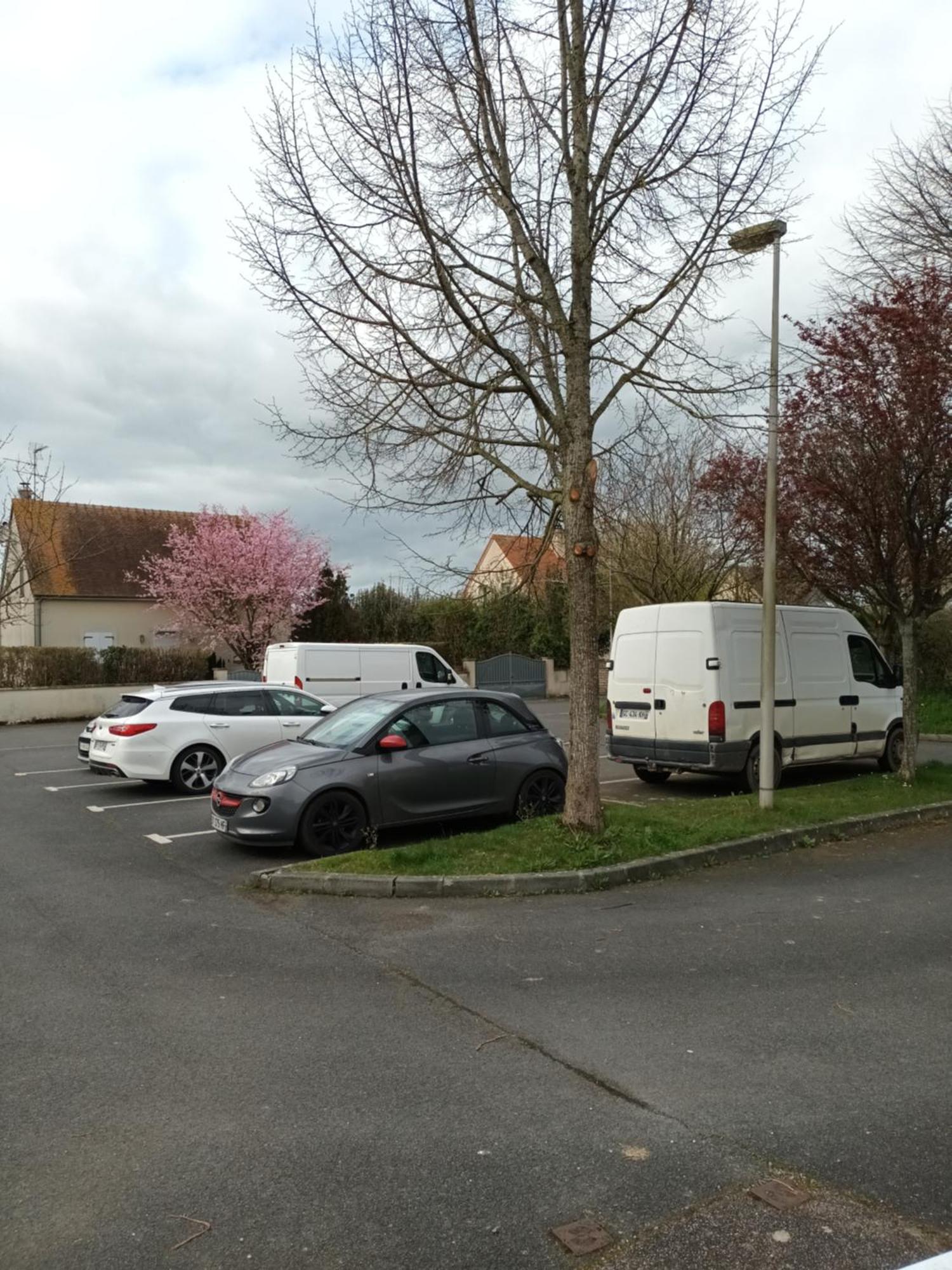 Appartement Tout Confort Le Fresne-Camilly Exterior foto